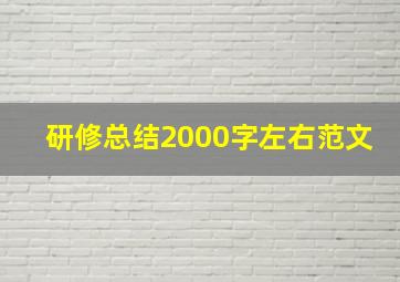 研修总结2000字左右范文