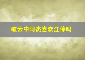 破云中阿杰喜欢江停吗