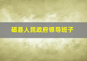 磁县人民政府领导班子