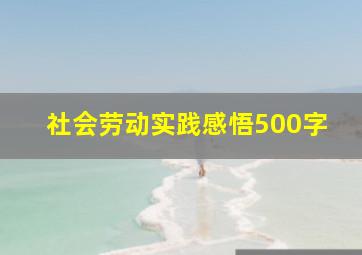 社会劳动实践感悟500字