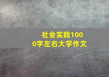 社会实践1000字左右大学作文