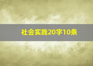 社会实践20字10条