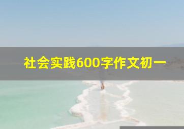 社会实践600字作文初一