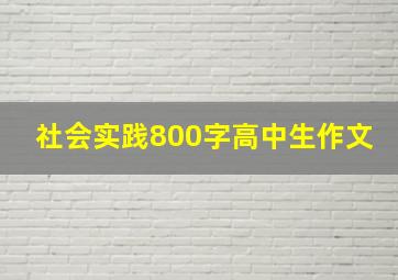 社会实践800字高中生作文