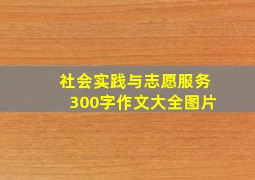 社会实践与志愿服务300字作文大全图片