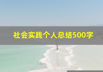 社会实践个人总结500字