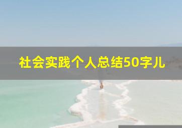 社会实践个人总结50字儿