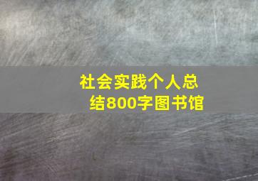 社会实践个人总结800字图书馆