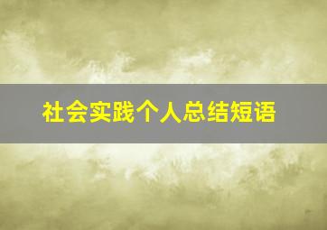 社会实践个人总结短语