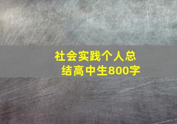 社会实践个人总结高中生800字