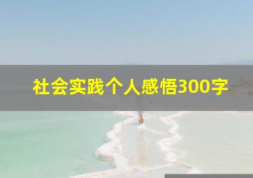 社会实践个人感悟300字