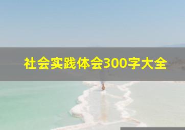 社会实践体会300字大全