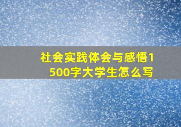 社会实践体会与感悟1500字大学生怎么写