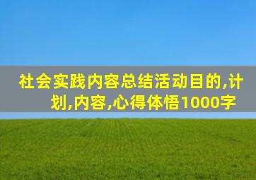 社会实践内容总结活动目的,计划,内容,心得体悟1000字