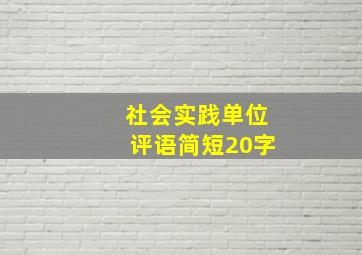 社会实践单位评语简短20字