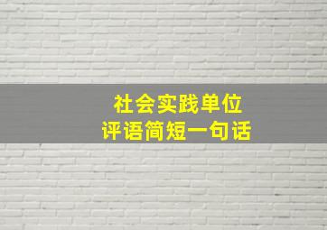 社会实践单位评语简短一句话