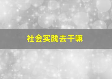 社会实践去干嘛