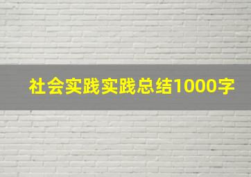 社会实践实践总结1000字