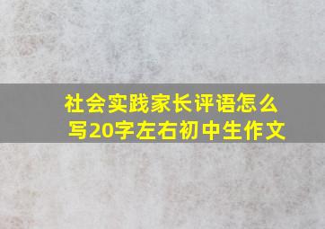 社会实践家长评语怎么写20字左右初中生作文