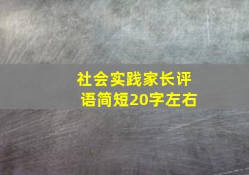 社会实践家长评语简短20字左右