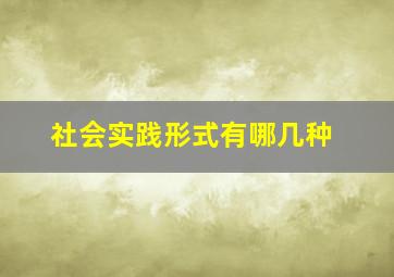 社会实践形式有哪几种