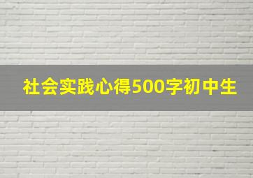 社会实践心得500字初中生