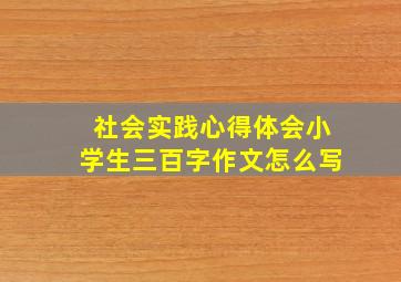 社会实践心得体会小学生三百字作文怎么写