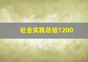 社会实践总结1200