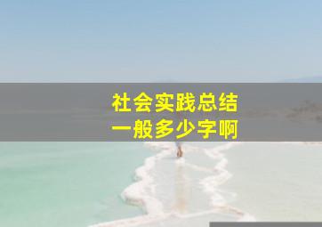 社会实践总结一般多少字啊