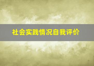 社会实践情况自我评价