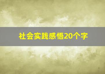 社会实践感悟20个字