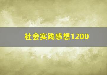 社会实践感想1200