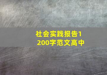 社会实践报告1200字范文高中