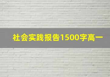 社会实践报告1500字高一