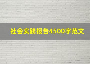 社会实践报告4500字范文