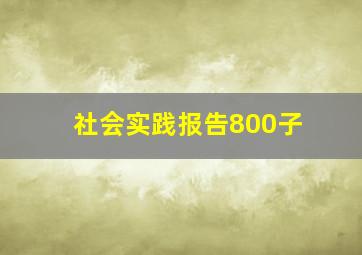 社会实践报告800子