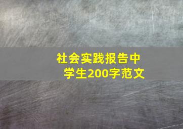 社会实践报告中学生200字范文