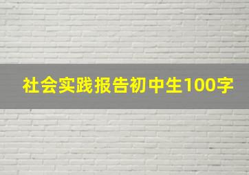 社会实践报告初中生100字