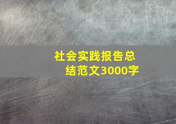 社会实践报告总结范文3000字