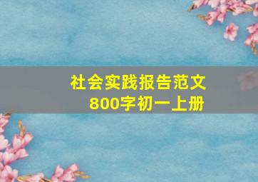 社会实践报告范文800字初一上册