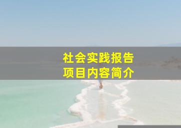 社会实践报告项目内容简介