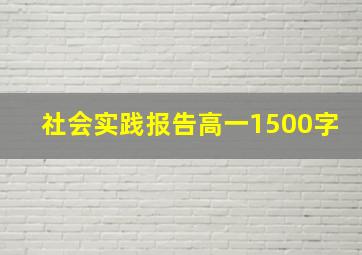 社会实践报告高一1500字