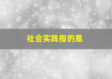 社会实践指的是