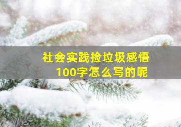 社会实践捡垃圾感悟100字怎么写的呢