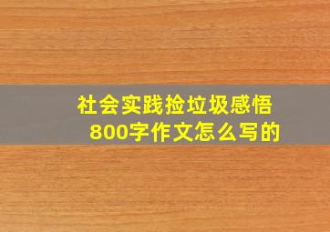 社会实践捡垃圾感悟800字作文怎么写的