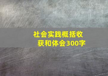 社会实践概括收获和体会300字