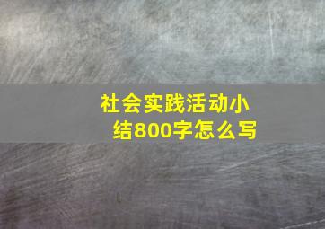 社会实践活动小结800字怎么写