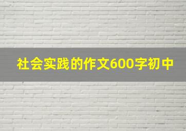 社会实践的作文600字初中