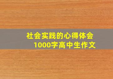 社会实践的心得体会1000字高中生作文