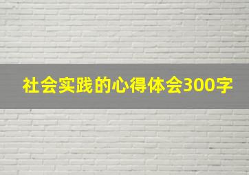 社会实践的心得体会300字